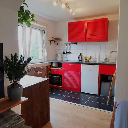 Kleines Studio Am Uni-Campus - Perfekt Fuer Junge Unternehmungslustige ドレスデン エクステリア 写真